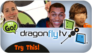 Dragon Fly TV